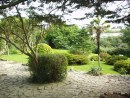 Rock Gardens