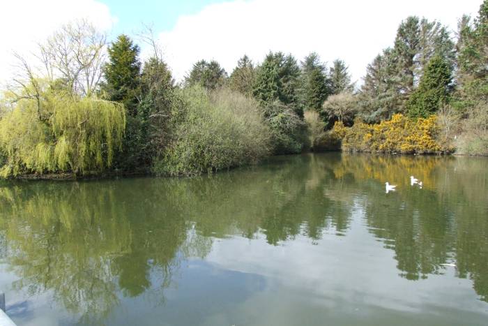 Boating Lake