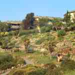 Rock Gardens & Chalets