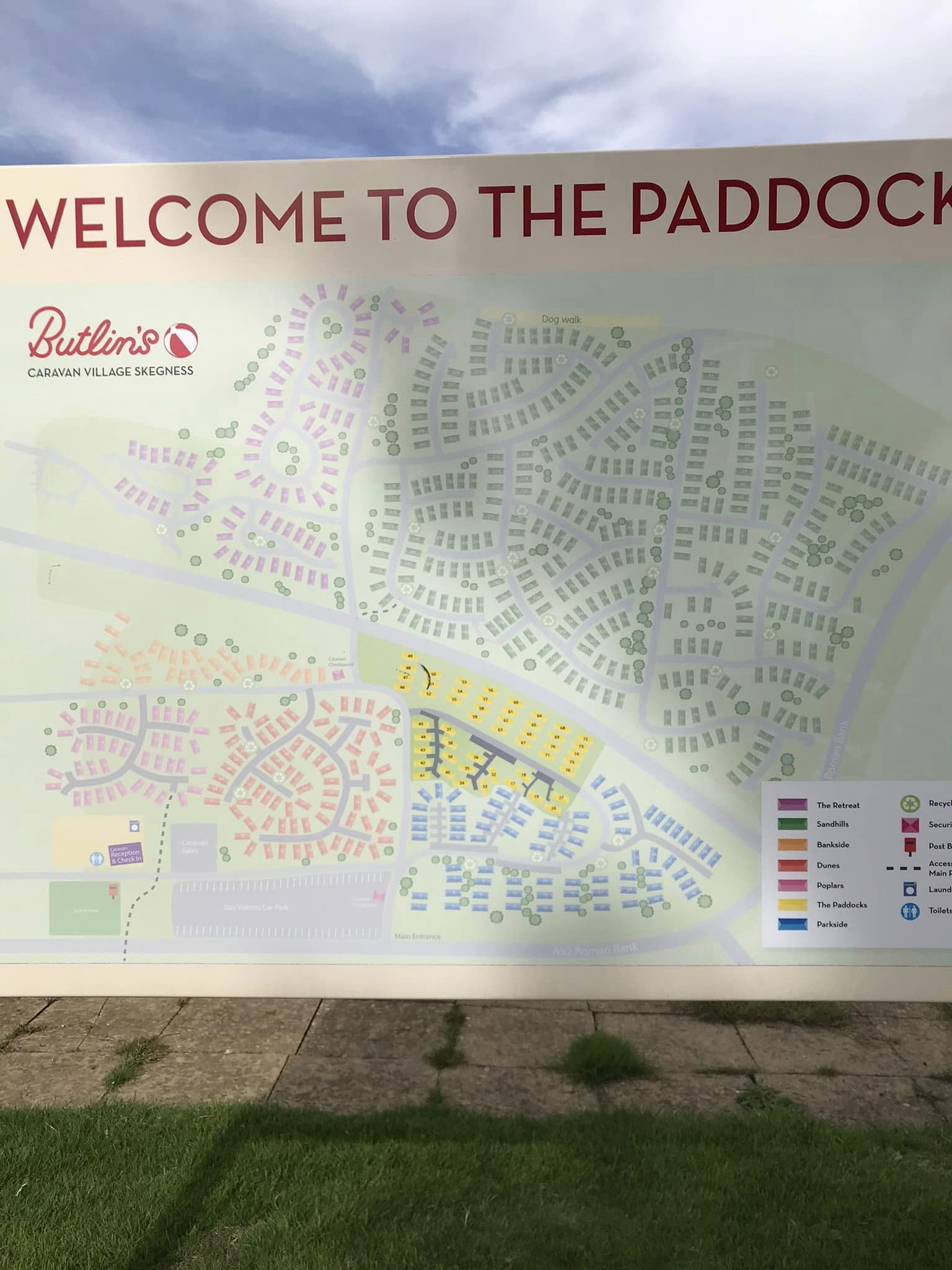 The Paddock