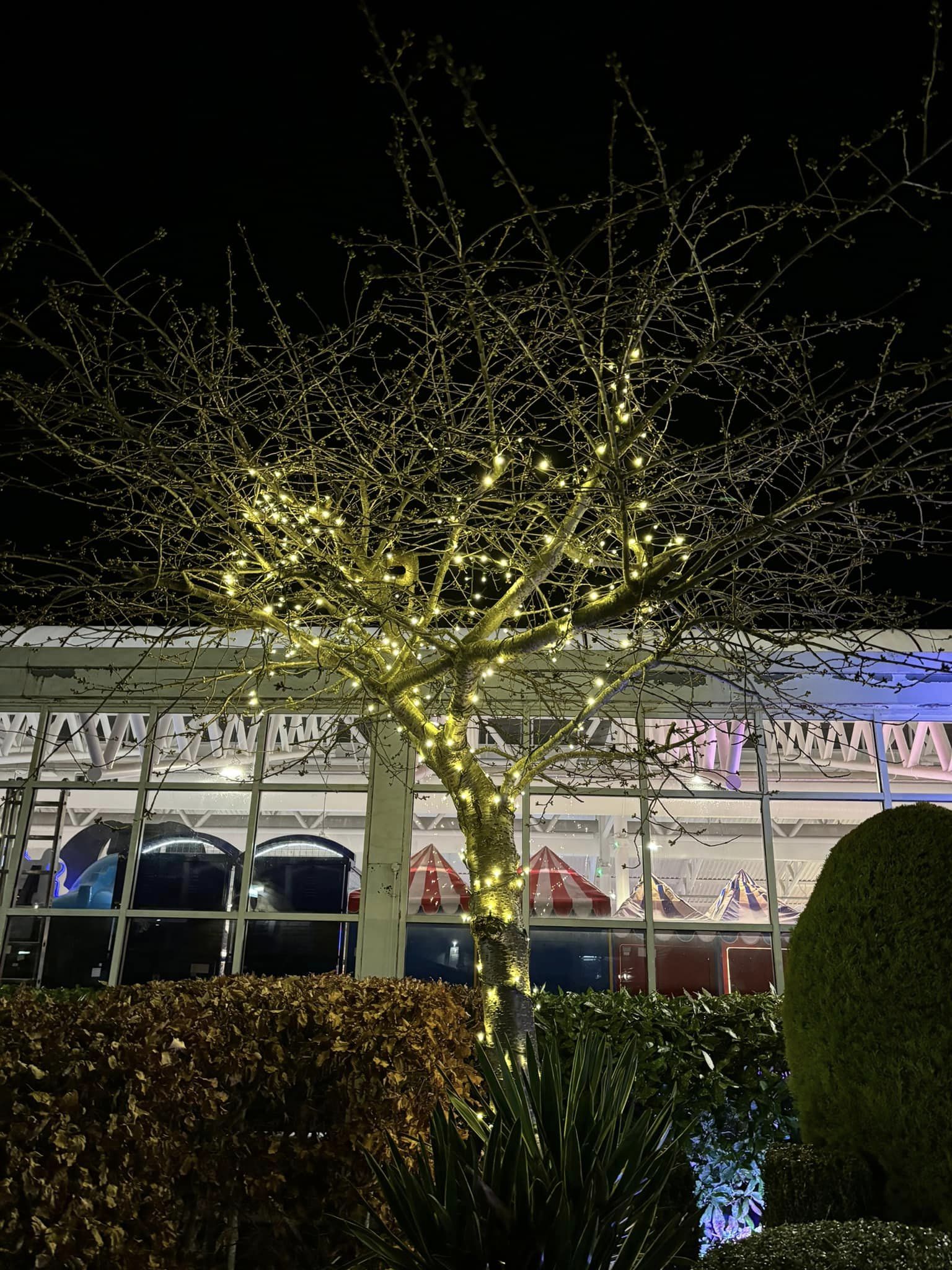 Lights