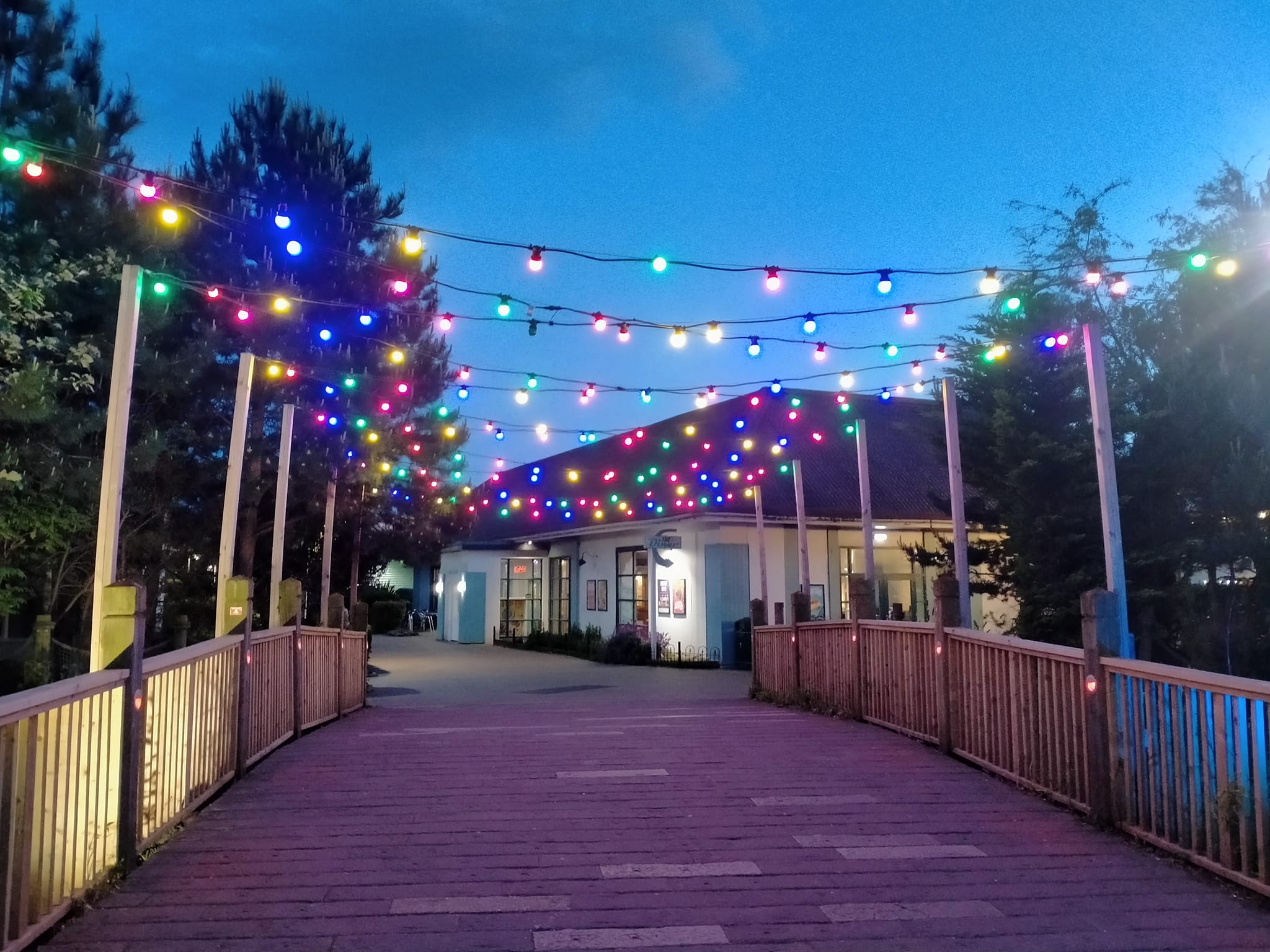 Lights