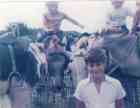 Donkey Derby 1983