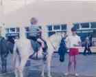 Donkey Derby 1983
