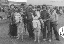 Donkey Derby