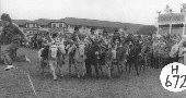 Donkey Derby