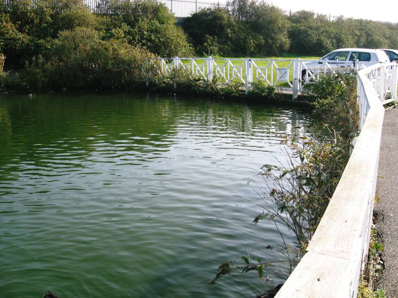 Old Boating Lake