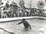 Redcoat Andy in the Outdoor Pool