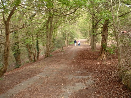 Driveway